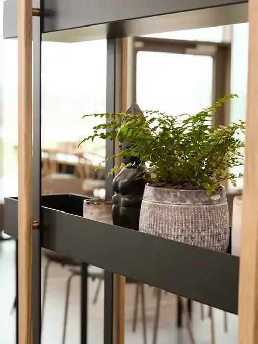 Office interior plant room divider with black metal frame and oak wood details, combining function and biophilic design.
