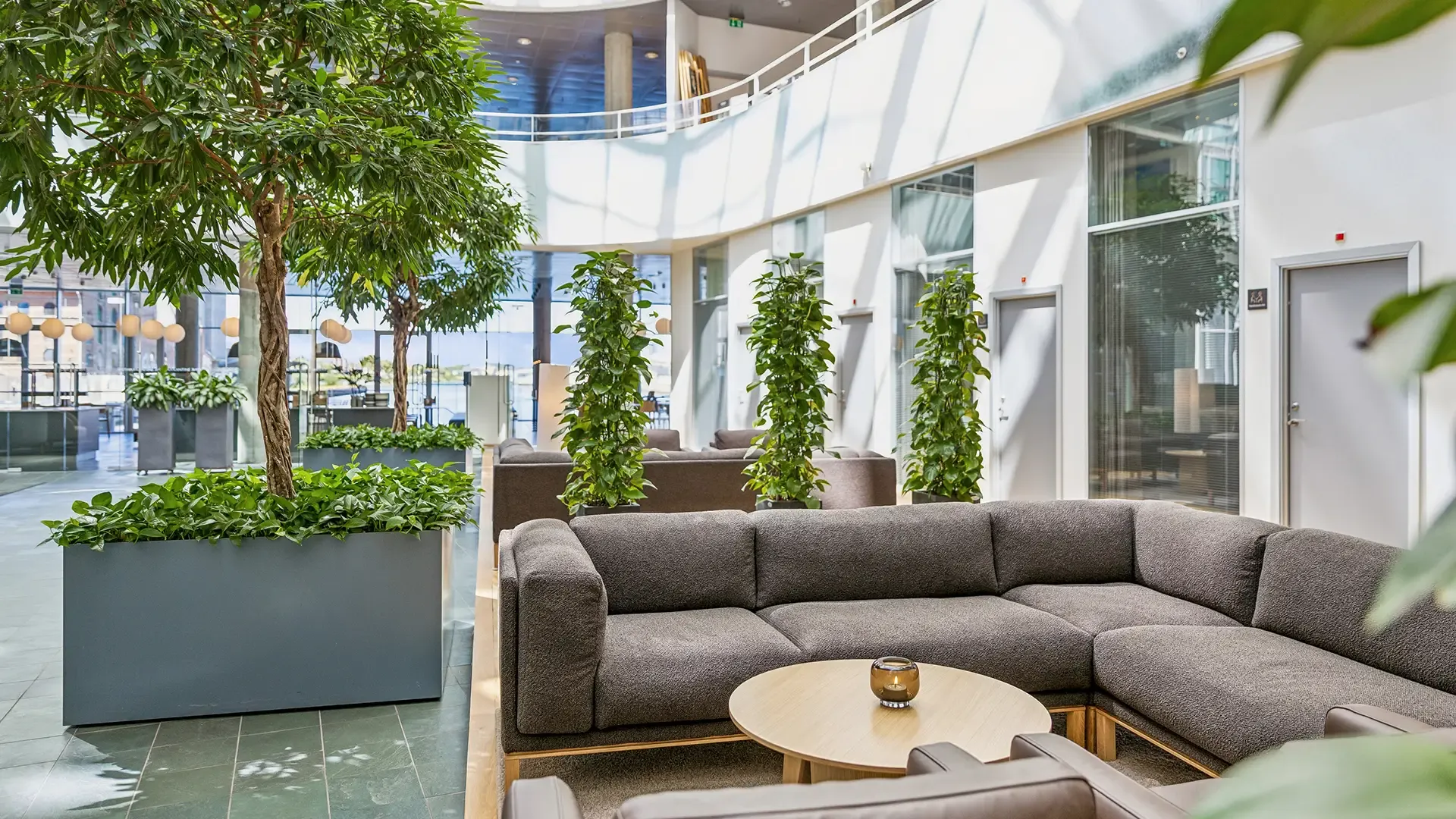 Modern office lounge with greenery and Scandinavian seating design, tailored for corporate headquarters.