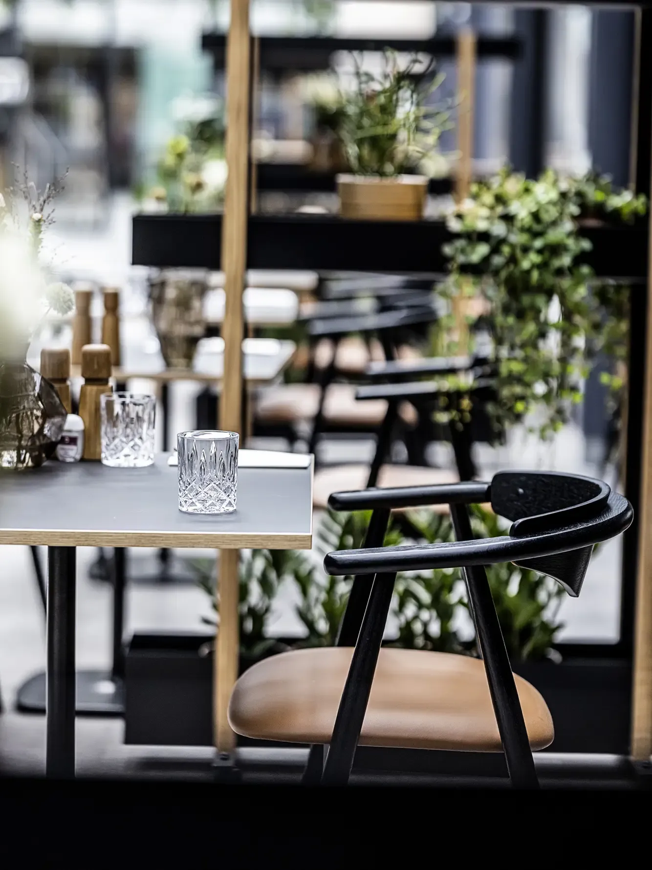 High quality furniture at restaurant. Design with black oak dining chairs and tables combined with green plants.