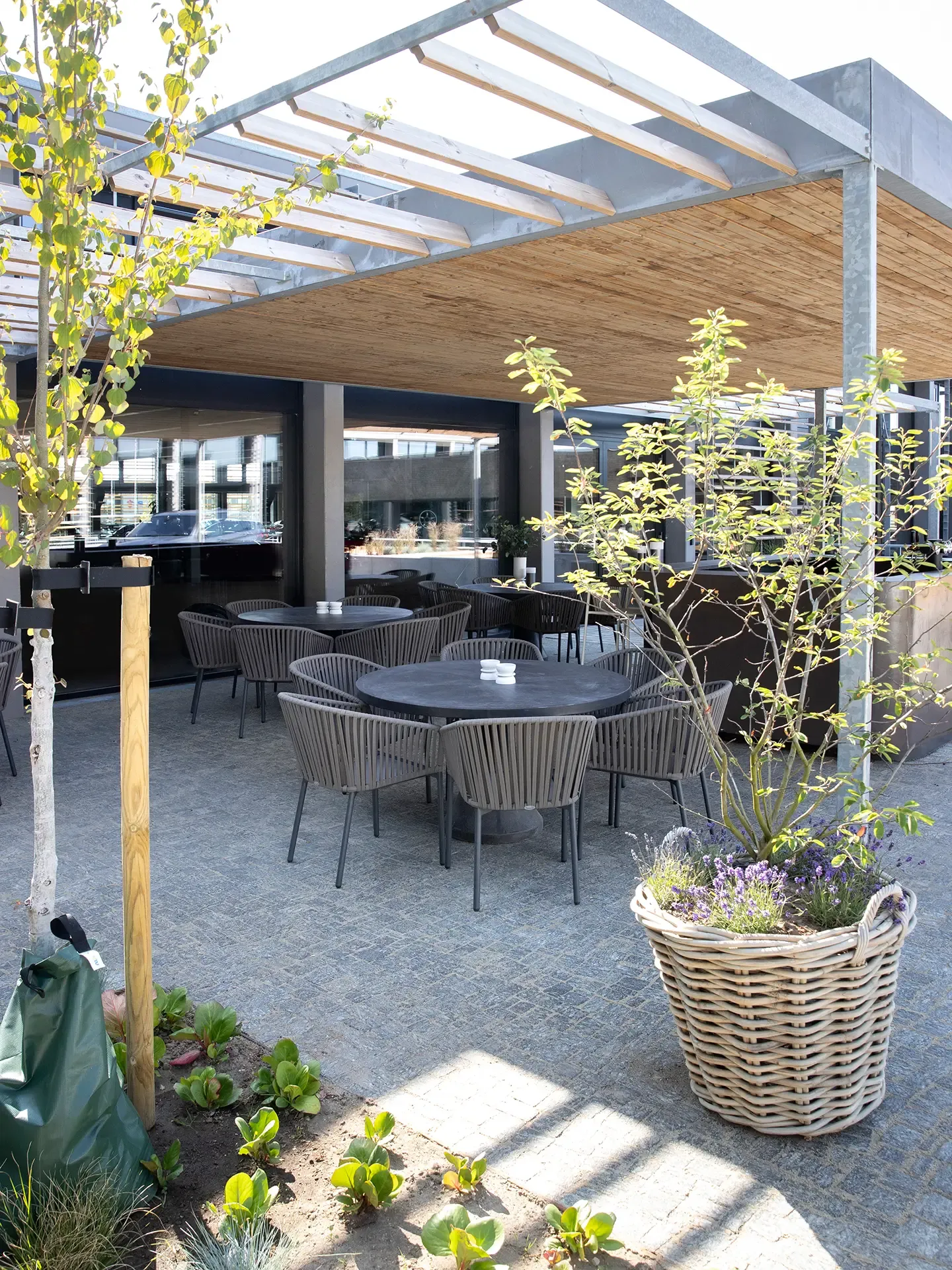 Outdoor terrace with lounge furniture and potted plants, extending the showroom experience outside.