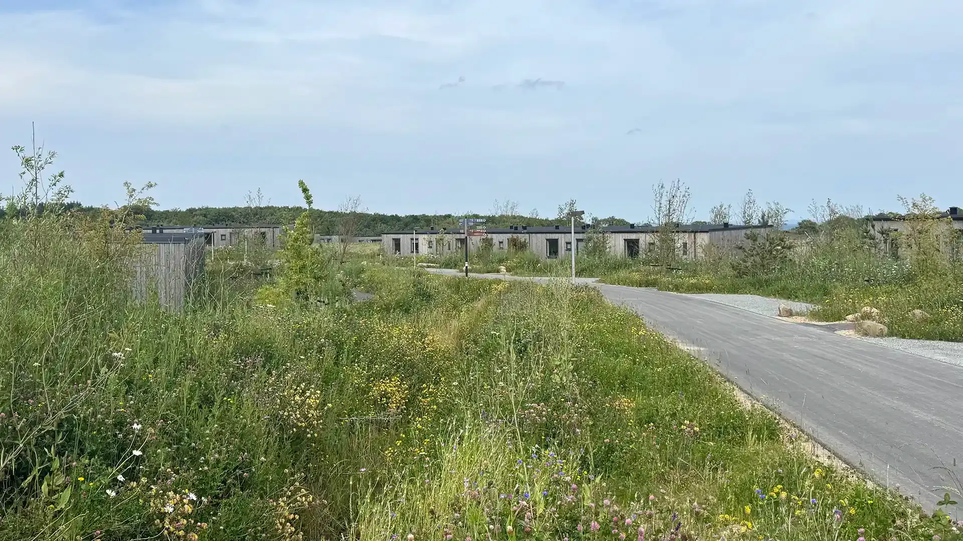 Pathway leading to the holiday cottages at Nordborg Resort, surrounded by nature and landscaped green areas.
